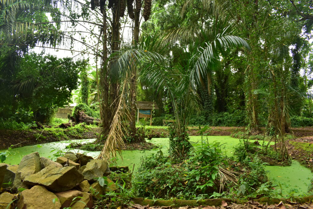 Jardin des plantes et de la nature de Porto-novo Bénin