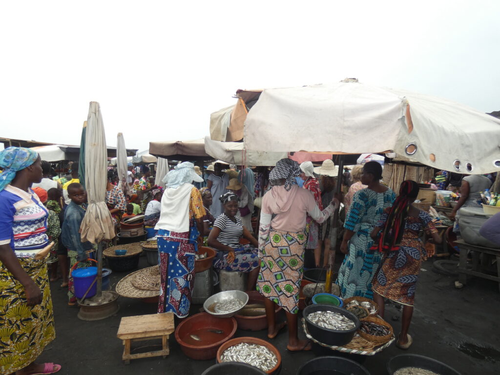 Tour du marché de Tokpa-Domè.