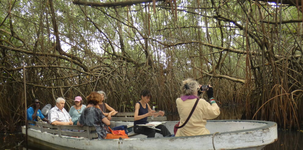 Expédition en forêt de mangrove