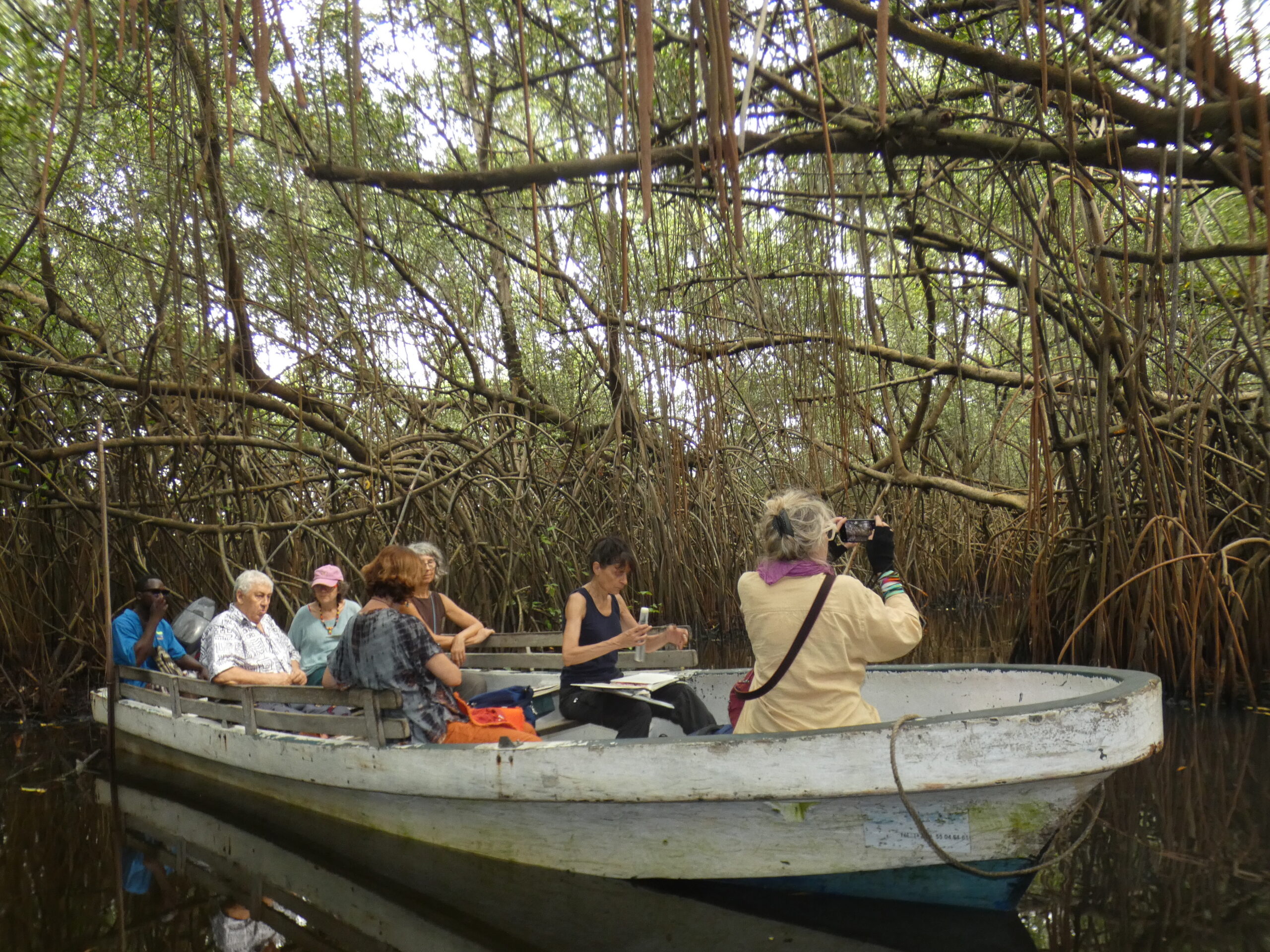 Expédition en forêt de mangrove