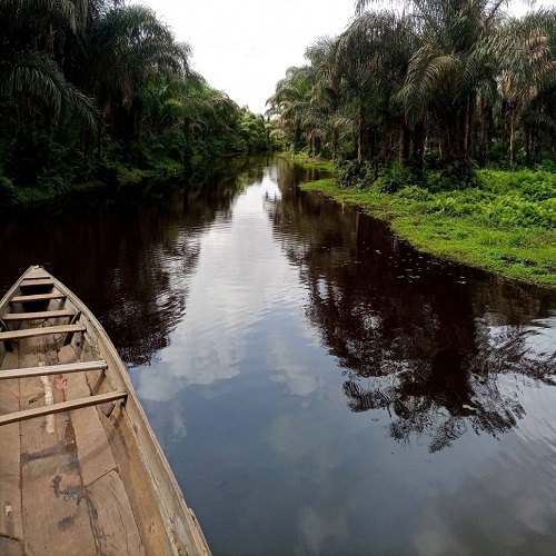 Rivière noire d'Adjara Bénin
