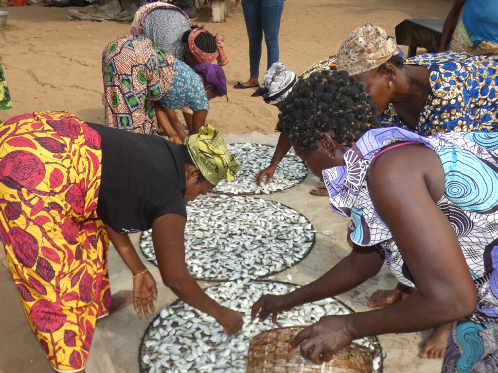 Commerçantes de poissons de pêche dans le marché de Tokpa Zoungo,